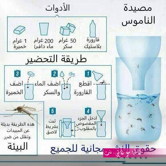 لالة مولاتي.نت lalamoulati.net