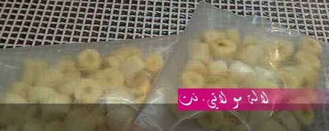 لالة مولاتي.نت lalamoulati.net