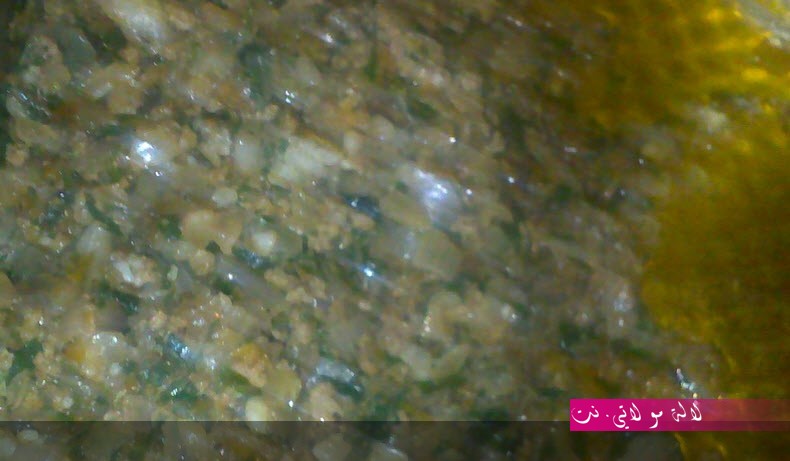 لالة مولاتي.نت lalamoulati.net