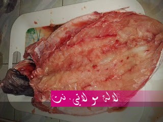 لالة مولاتي.نت lalamoulati.net