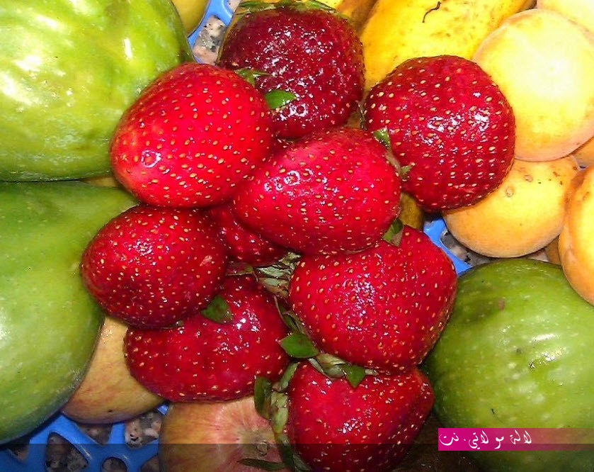 لالة مولاتي.نت lalamoulati.net