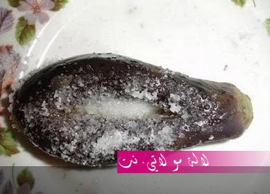 لالة مولاتي.نت lalamoulati.net