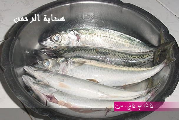 لالة مولاتي.نت lalamoulati.net