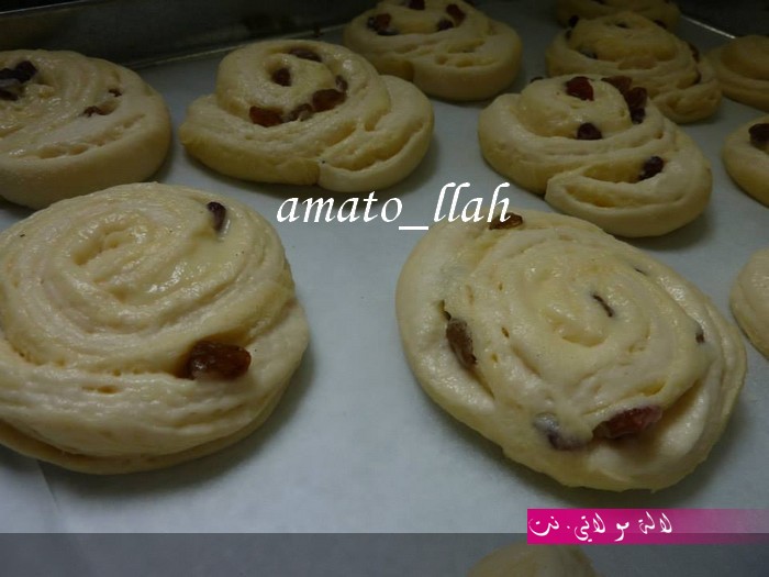 لالة مولاتي.نت lalamoulati.net