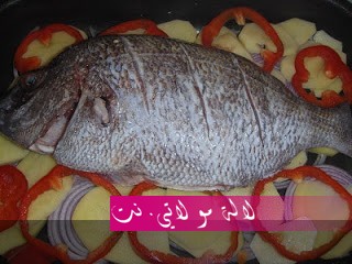 لالة مولاتي.نت lalamoulati.net