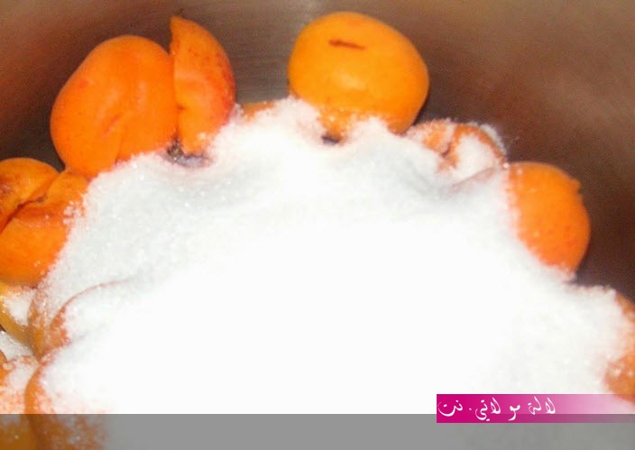 لالة مولاتي.نت lalamoulati.net