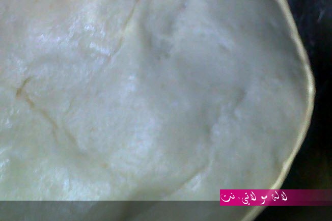 لالة مولاتي.نت lalamoulati.net