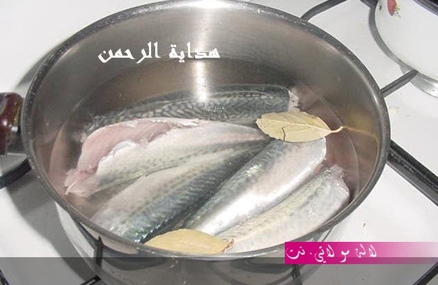 لالة مولاتي.نت lalamoulati.net