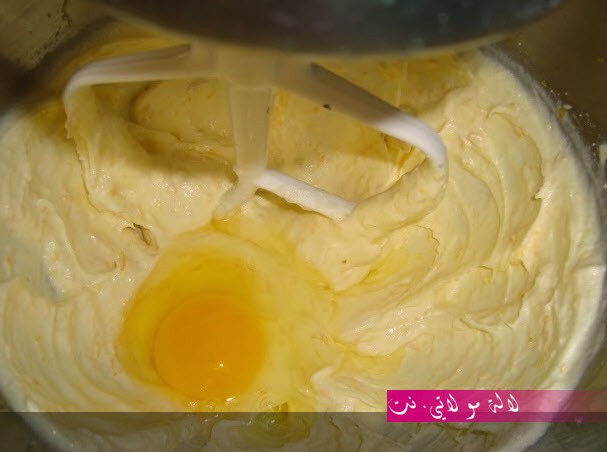 لالة مولاتي.نت lalamoulati.net