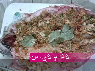 لالة مولاتي.نت lalamoulati.net