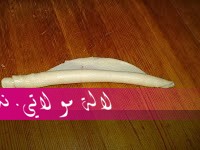 لالة مولاتي.نت lalamoulati.net