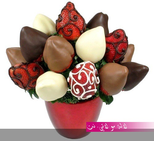 لالة مولاتي.نت lalamoulati.net