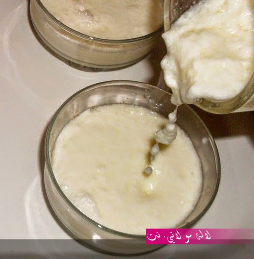 لالة مولاتي.نت lalamoulati.net