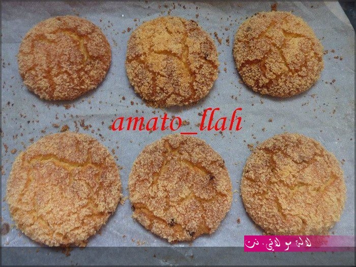 لالة مولاتي.نت lalamoulati.net