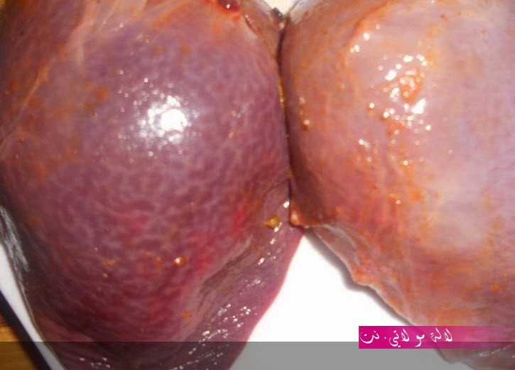 لالة مولاتي.نت lalamoulati.net