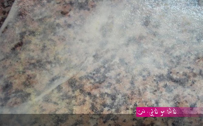 لالة مولاتي.نت lalamoulati.net