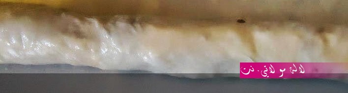 لالة مولاتي.نت lalamoulati.net