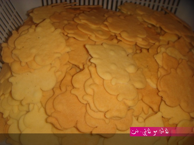 لالة مولاتي.نت lalamoulati.net