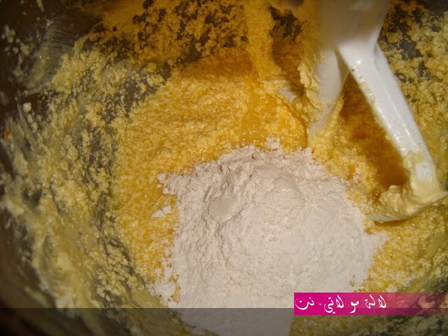 لالة مولاتي.نت lalamoulati.net