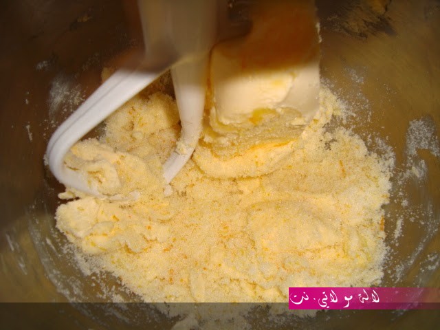 لالة مولاتي.نت lalamoulati.net