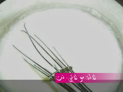 لالة مولاتي.نت lalamoulati.net