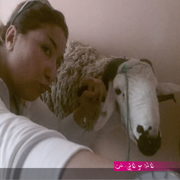 لالة مولاتي.نت lalamoulati.net