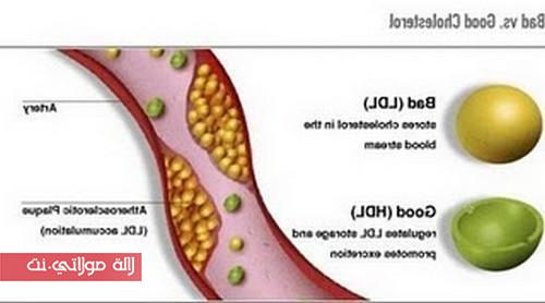 10 نصائح غذائية لإيقاف الكوليسترول ...فوراً