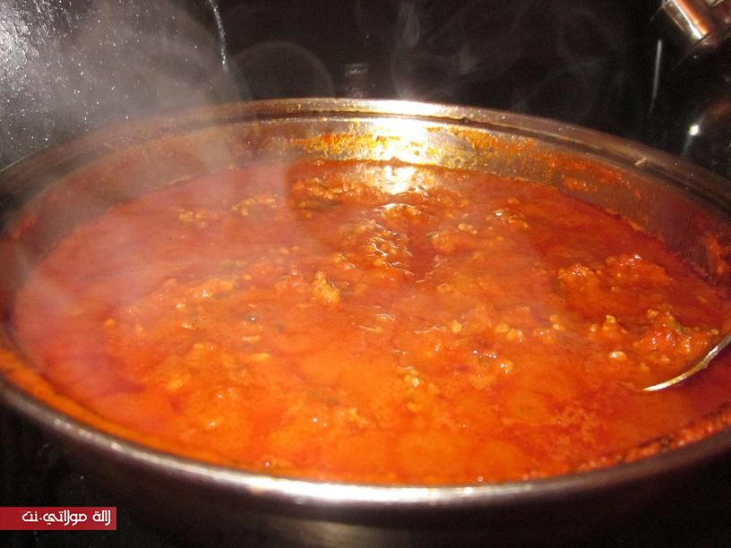 مقرونية بصوص البولونييز البيشاميل de9eb13847b22e6.jpg