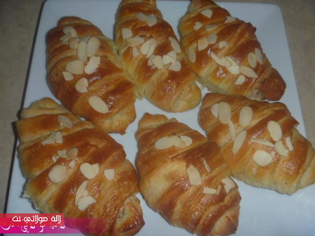 إعادة تنزيل كرواصة ماكاينش بحالها 153yc2e.jpg