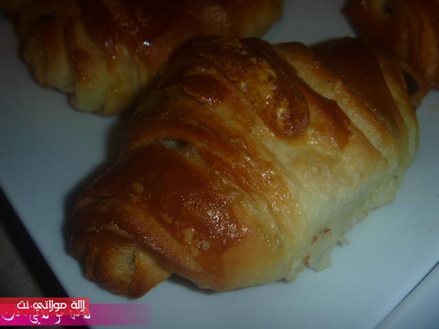 إعادة تنزيل كرواصة ماكاينش بحالها 6ntd08.jpg