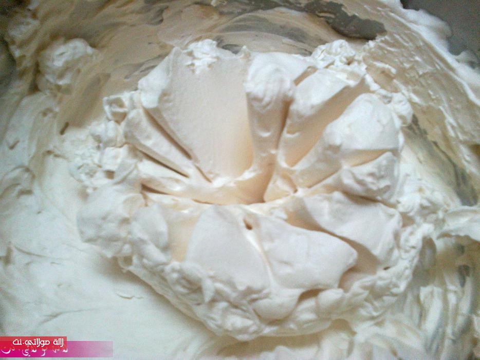 طارط بكريمة الكراميل هدية نجمات aunh2y0hjx8adz4xt8g. طارط بكريمة الكراميل هدية نجمات aunh2y0hjx8adz4xt8g.