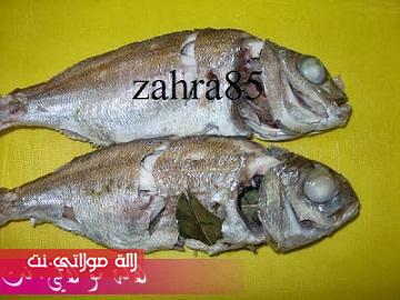 bastila-bilhout-bchakl-jdid-1