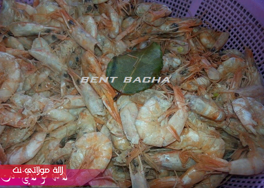 ♡ بسطيلة الحوت ♡ يديا ta6u19avytw26extipvl