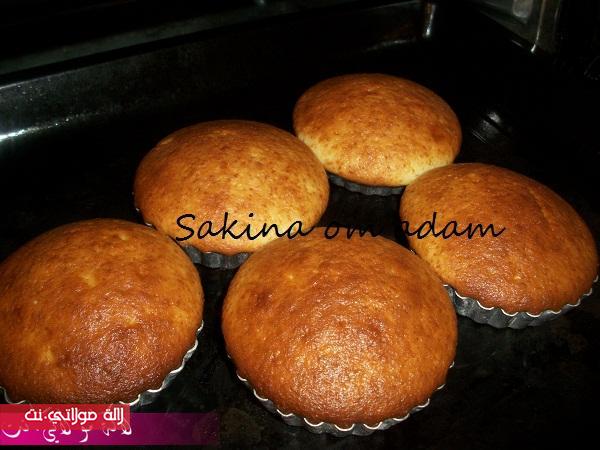 كيــــكات صغــــار بالفرماج كيحمقـــــــــــــــــو 0eyy6xfd95ve1o5crcdo