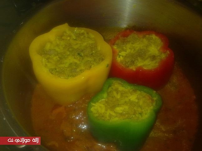 الفلفلة معمرة بنييييينة وكتشهي 5xsv1ma3qs7arnwz47nt