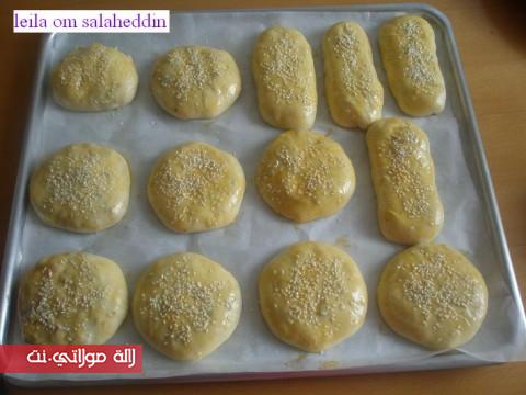 خبيزات معمرين بالطون