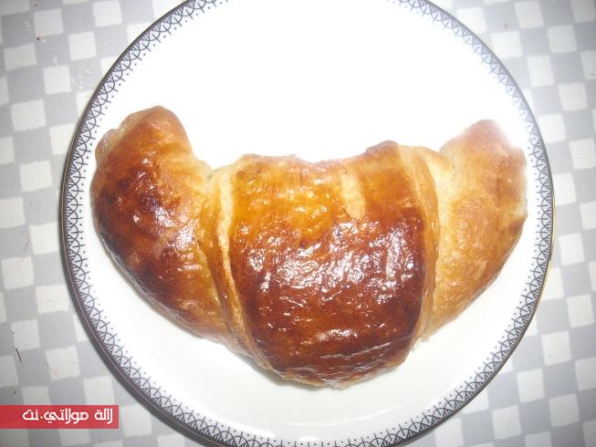 كرواصة وبتيبان بمقادير بسيطة g6zl4pqt9ilz2wwvuvp.