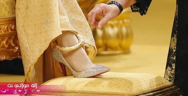 11148729_738791619575049_2641405775708359150_n