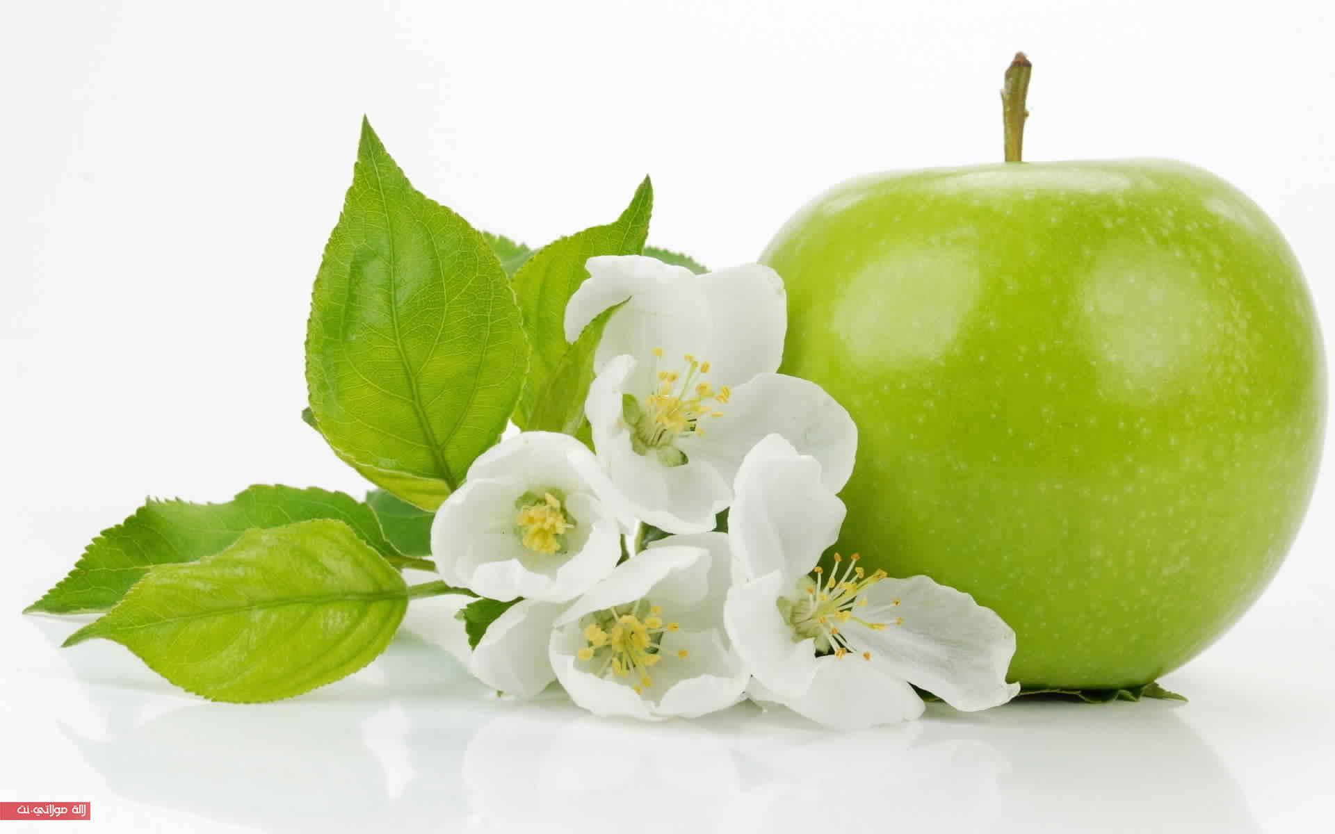 التفاح-فوائد-صحية-و-جمالية-لا-متناهية