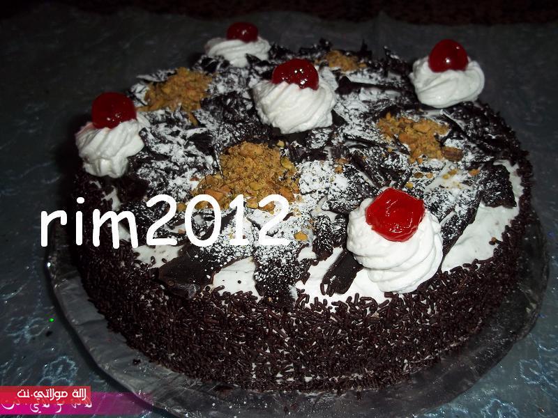 الغابة السوداء /foret noire/ بالصور i47210cqx9lcv3pudq.j