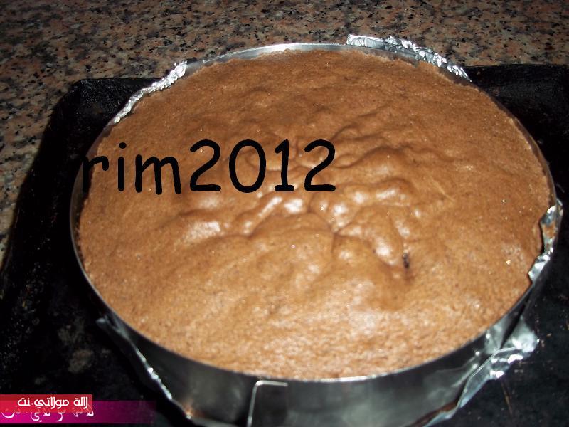 الغابة السوداء /foret noire/ بالصور i4x8asne14vqlq3am9j.