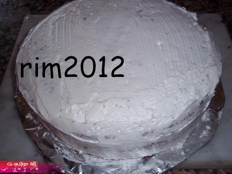 الغابة السوداء /foret noire/ بالصور l44agemmhqyhskji022a