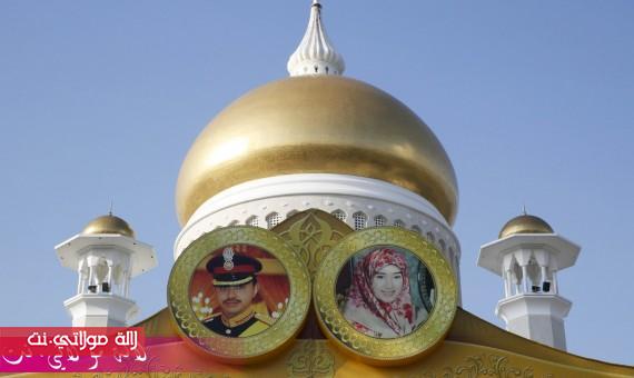 large-1557920213749270408