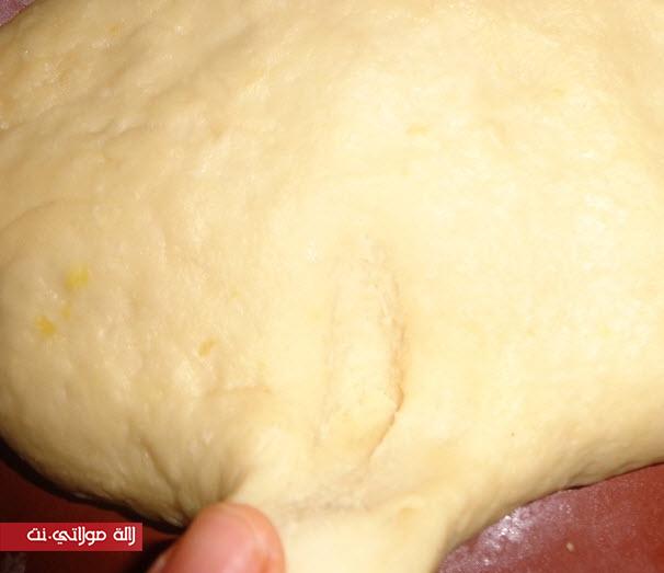 بريوش الوريدات6