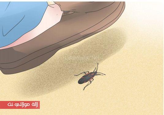 takhalos mina alhacharat fi saif1