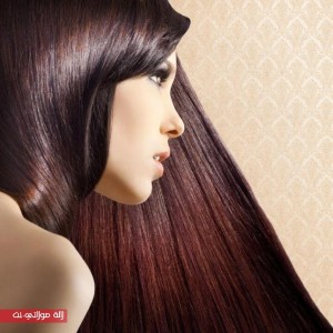 1388224211_shutterstock_147553760