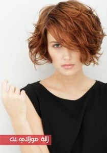 1446121368_1446117682280123200