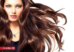 1447673765_1447674625332313700