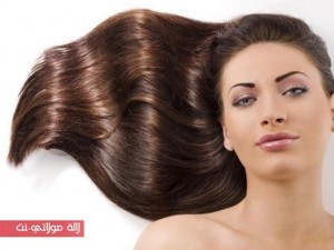 shutterstock_59045977 (Copy)