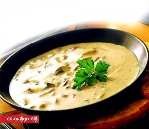 12310629_1195441850470799_8622027760345612203_n